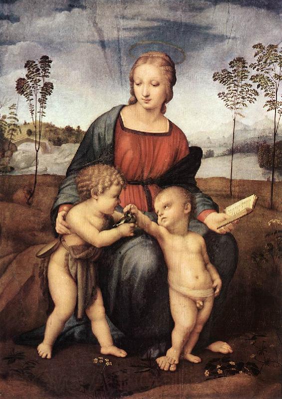 RAFFAELLO Sanzio Madonna del Cardellino ert